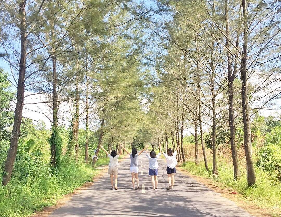 Location : Sekitaran Jalan Pantai Pasir Padi, Pangkalpinang, Bangka Island, Kepu...