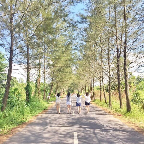 Location : Sekitaran Jalan Pantai Pasir Padi, Pangkalpinang, Bangka Island, Kepu...