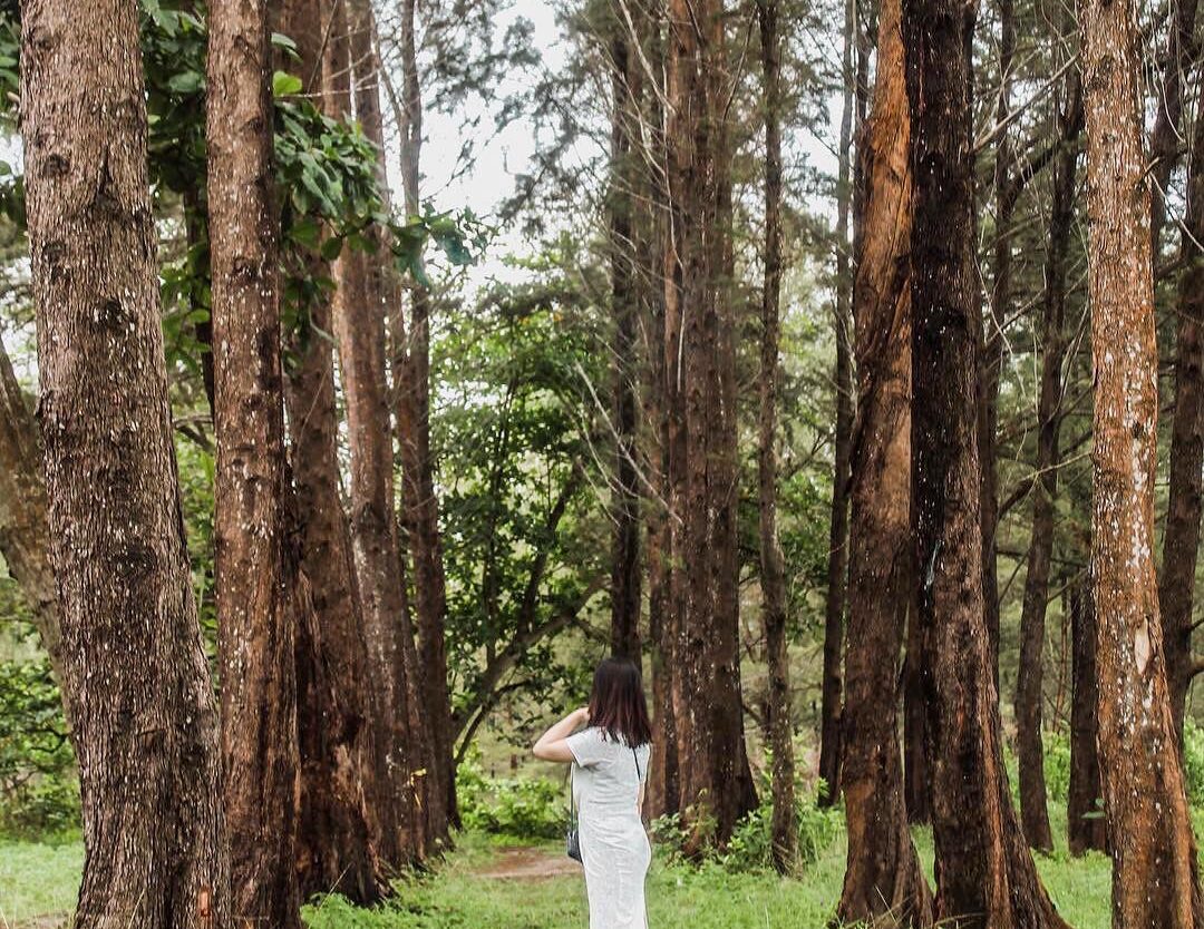 Location : Sekitaran Pantai Rebo, Sungailiat, Kabupaten Bangka, Bangka Island, I...