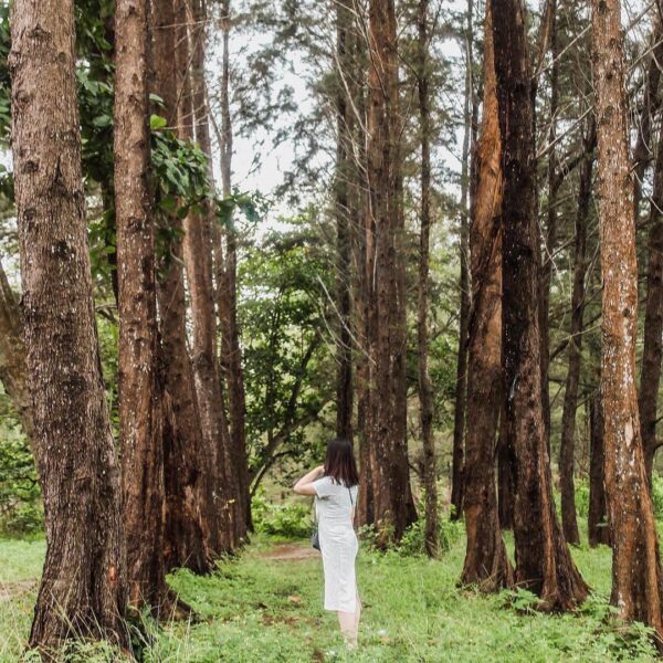 Location : Sekitaran Pantai Rebo, Sungailiat, Kabupaten Bangka, Bangka Island, I...