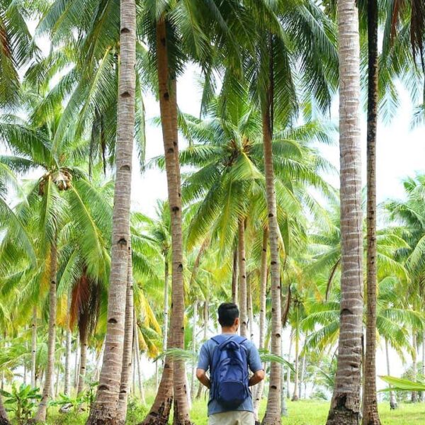 Location : Sekitaran Pantai Siangau, Teluk Limau, Kecamatan Parittiga, Kabupaten...