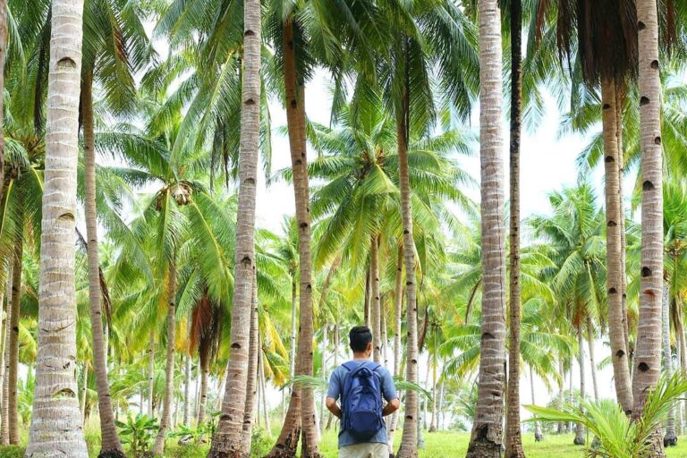 Location : Sekitaran Pantai Siangau, Teluk Limau, Kecamatan Parittiga, Kabupaten...