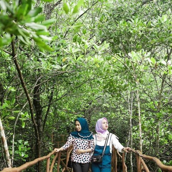 Location : Wisata Hutan Mangrove, Tukak Sadai, Toboali, Kabupaten Bangka Selatan...