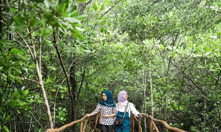 Location : Wisata Hutan Mangrove, Tukak Sadai, Toboali, Kabupaten Bangka Selatan...