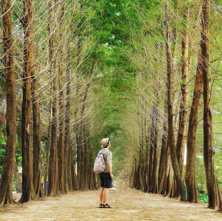 Lokasi yang dikenal BBG atau Bangka Botanical Garden ini merupakan satu icon agr...