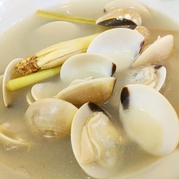 Satu dari banyak kuliner seafood di Bangka yang wajib dicoba, kerang lokan! Apa ...