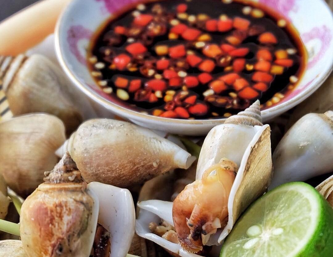 Siput Gonggong/Gunggung ini merupakan siput laut, biasa dimasak direbus pakai se...