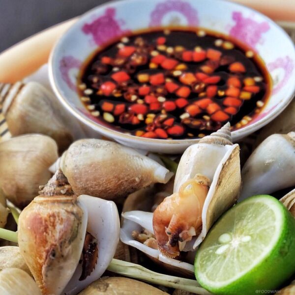 Siput Gonggong/Gunggung ini merupakan siput laut, biasa dimasak direbus pakai se...