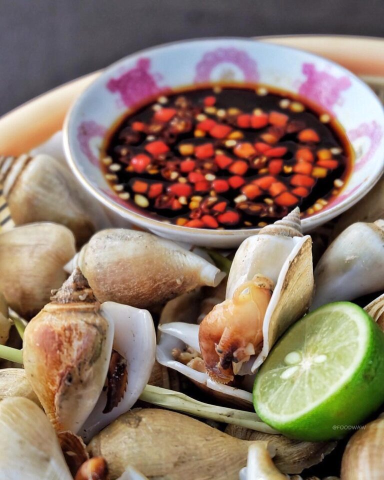 Siput Gonggong/Gunggung ini merupakan siput laut, biasa dimasak direbus pakai se...
