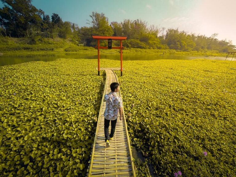 Kalo belum kesampean ke Jepang, Ke sini aja dulu.

#explorejogja photo today by ...