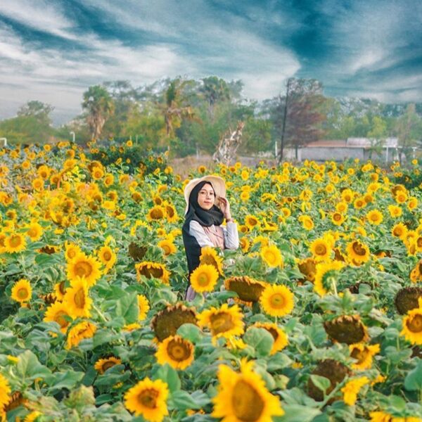 Ke sini besok yuk?

#explorejogja photo today by  taken at Taman Bunga Matahari ...