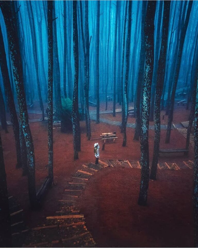 Ke sini yuk besok 

#explorejogja photo today by  taken at Hutan Pinus Mangunan,...