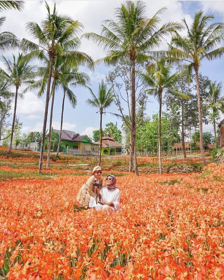Mana nih suaranya yang udah ke sini?

#explorejogja photo today by  taken at Keb...
