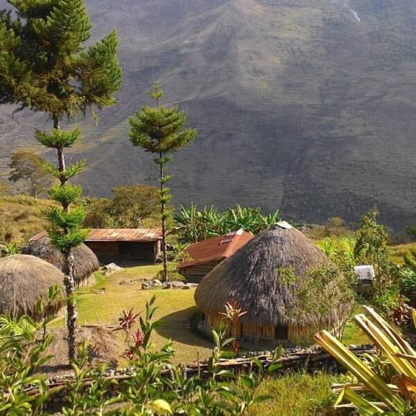 ExplorePapua Photo today by  "Rumah Honoi Suku Dani,  Jayawijaya, Papua, Indones...