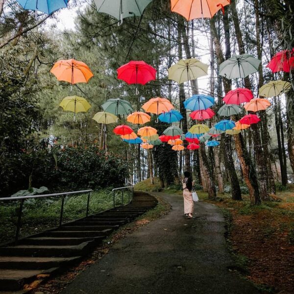 A photo taken at Wisata Bukit Baros nicely captured by  Have you been here? #exp...