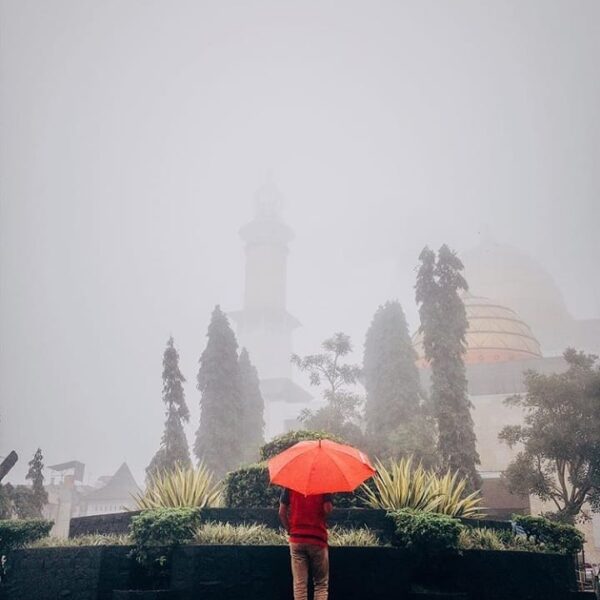 A rare moment when the fog is all over the city. Can you imagine if scene like t...