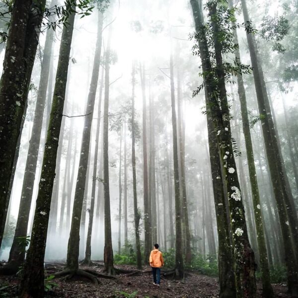 Anyone here miss this kind of vibes? Tag your adventure partner down below!

#ex...