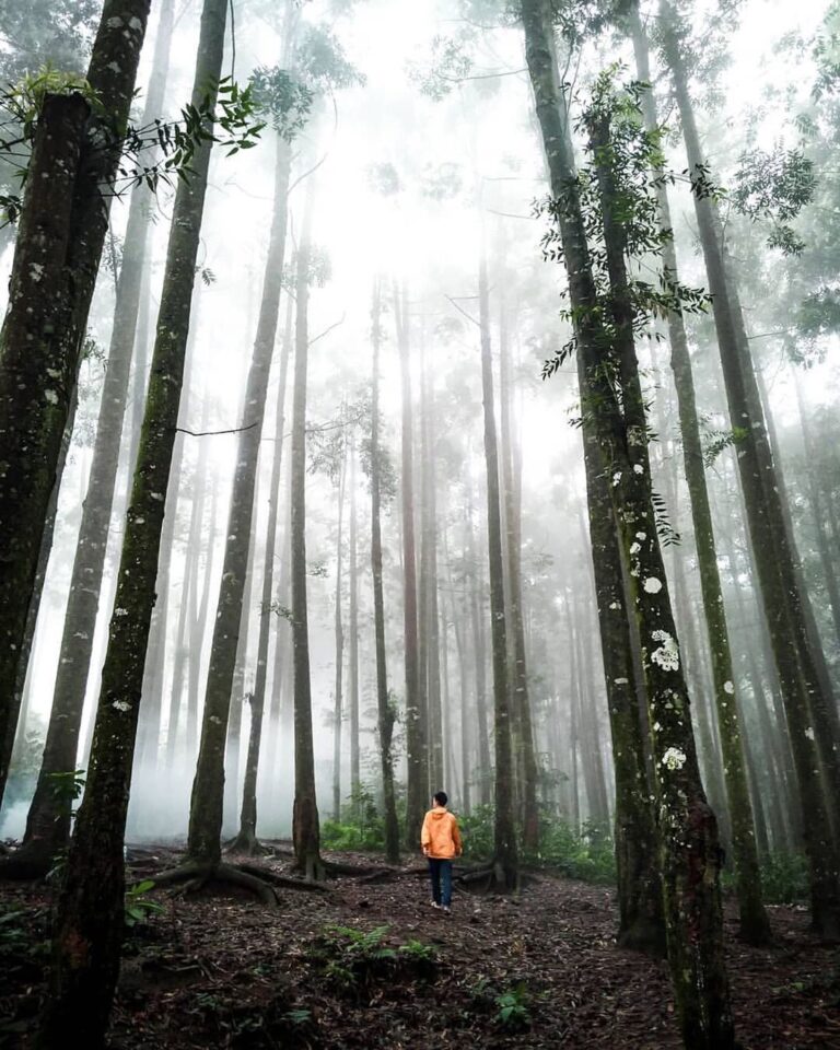 Anyone here miss this kind of vibes? Tag your adventure partner down below!

#ex...