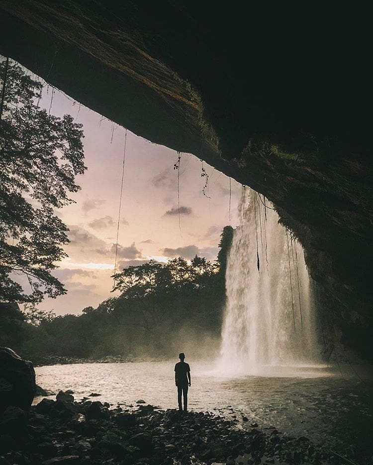 Appreciate the beauty of nature as you learn to appreciate life.
-
Photo by  #ex...