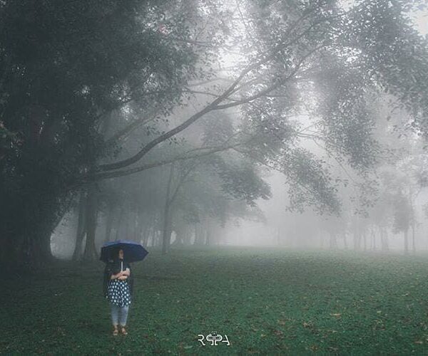 Be courageous standing on the right path even if it’s going to be a lonely one. ...