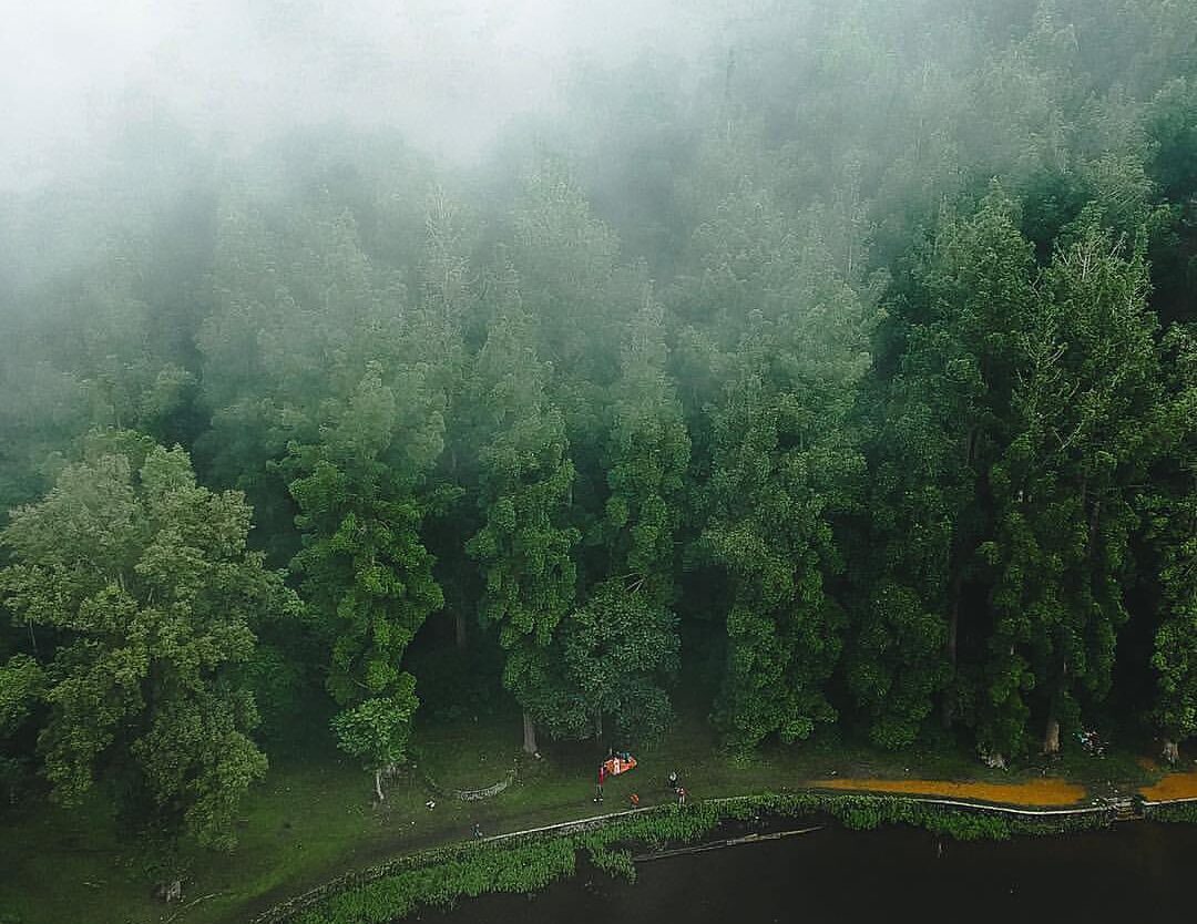 Big trees, fresh air, foggy day at the lake of Situgunung. A photo by  #explores...