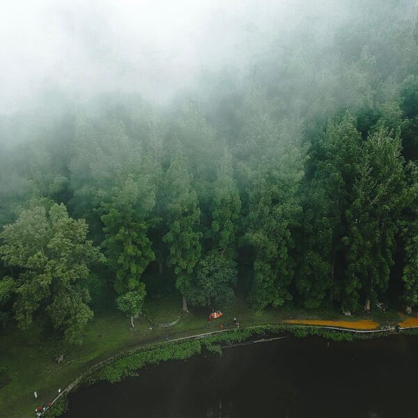Big trees, fresh air, foggy day at the lake of Situgunung. A photo by  #explores...