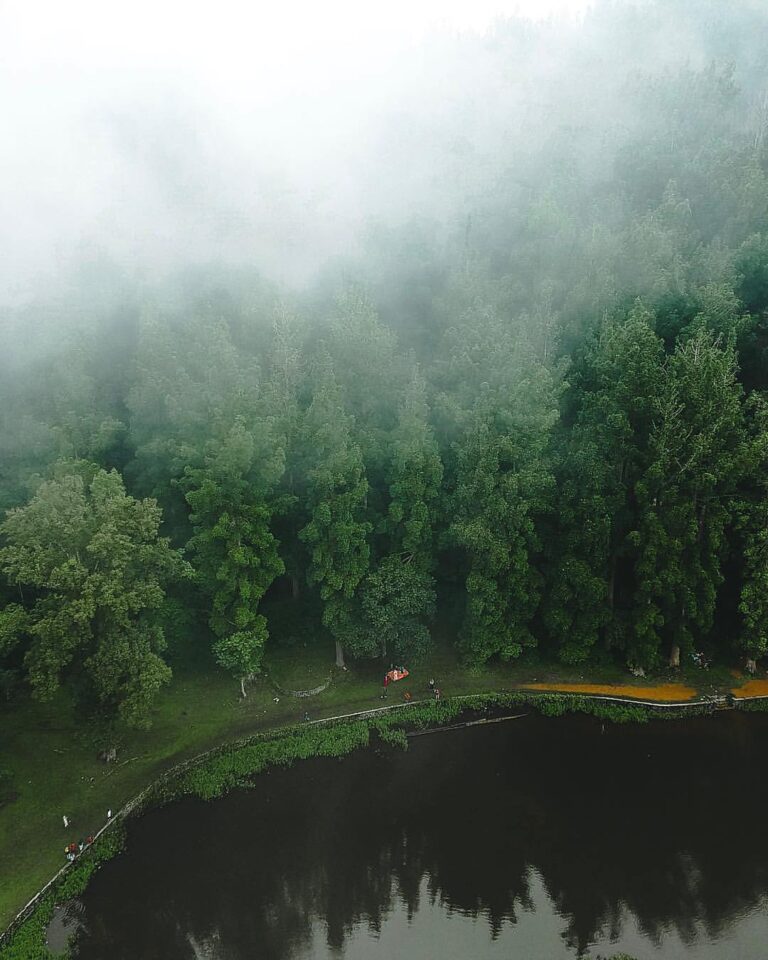 Big trees, fresh air, foggy day at the lake of Situgunung. A photo by  #explores...