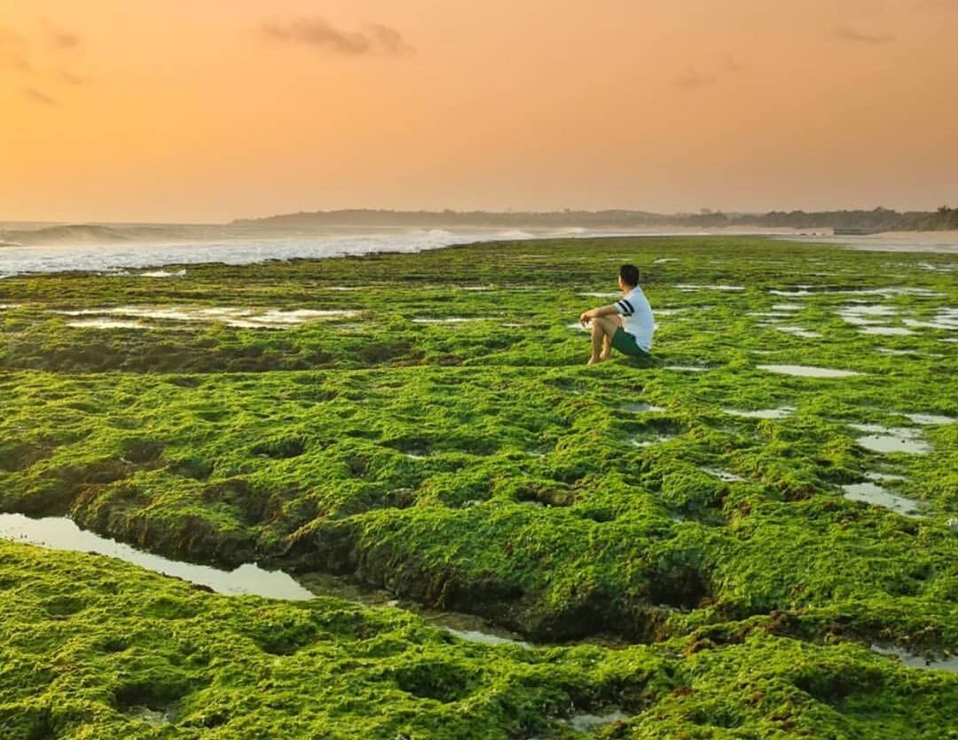 Golden hour by the beach, hypnotized by the breeze and sounds of the sea. Isn’t ...