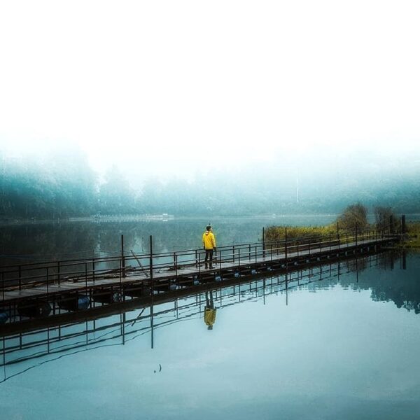 Indulge the serenity of nature and allow inspiration that comes with it.
-

Mist...