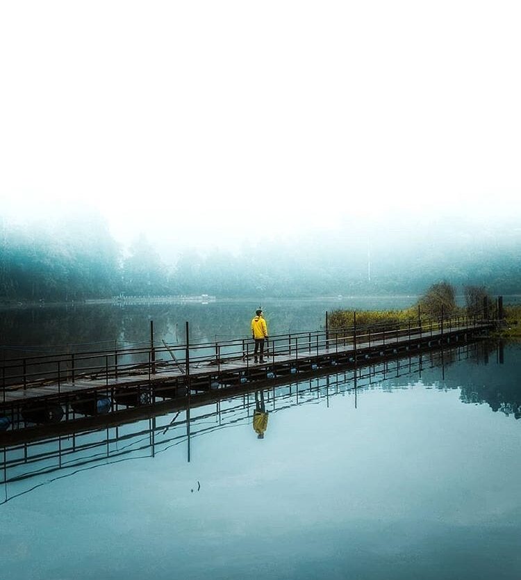 Indulge the serenity of nature and allow inspiration that comes with it.
-

Mist...
