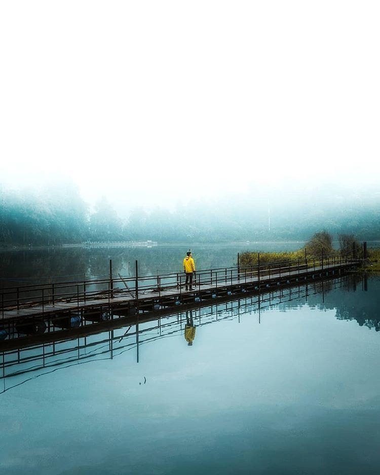 Indulge the serenity of nature and allow inspiration that comes with it.
-

Mist...