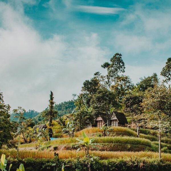 It’s still #fortheearth.
If you want to change your way of living, try back to n...