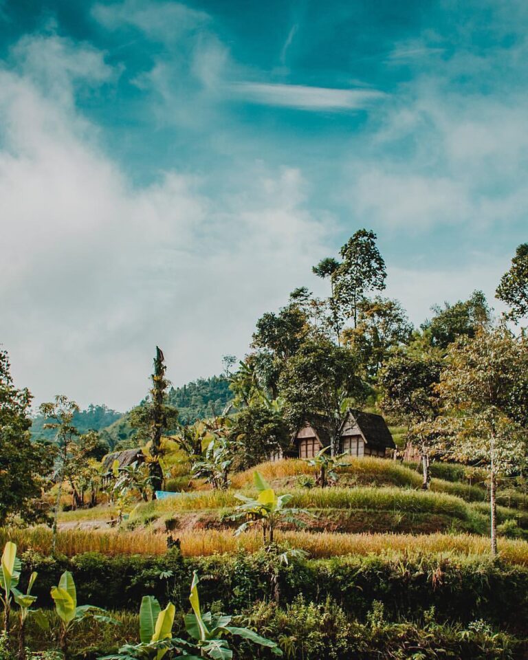 It’s still #fortheearth.
If you want to change your way of living, try back to n...