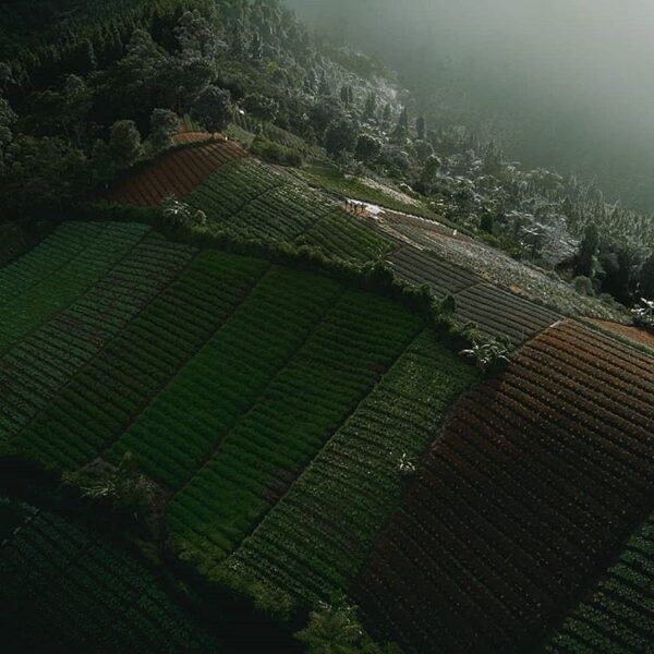 It's trully amazing how the birds see the world everyday. Captured by  taken at ...