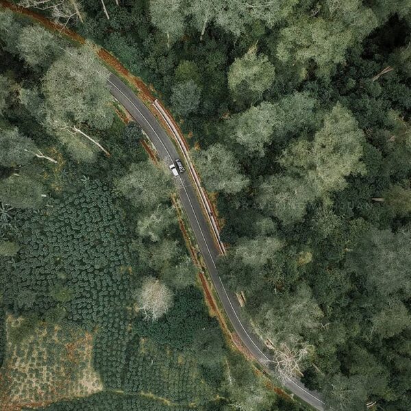 It's truly amazing how the birds see the world everyday! Photo by  taken at Cipe...