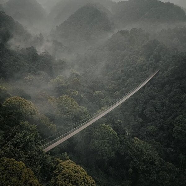 Misty ambience around Situgunung Suspension Bridge nicely captured by  #explores...