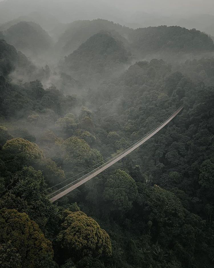 Misty ambience around Situgunung Suspension Bridge nicely captured by  #explores...