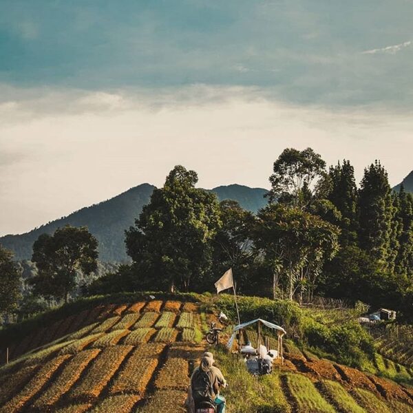 Riding back home can be tiring yet relaxing when the mountain breeze and the gre...