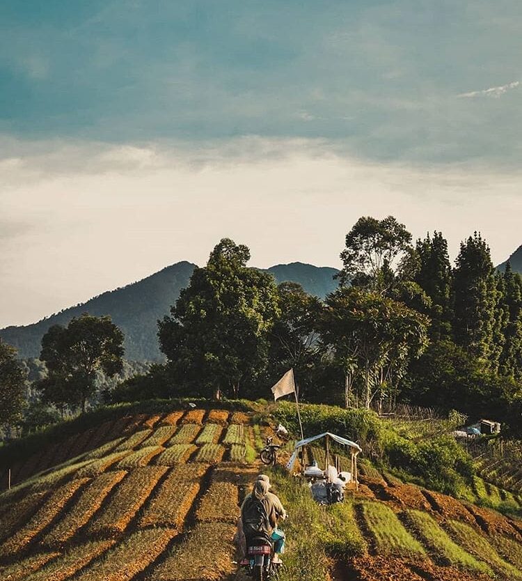 Riding back home can be tiring yet relaxing when the mountain breeze and the gre...
