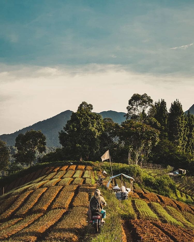 Riding back home can be tiring yet relaxing when the mountain breeze and the gre...