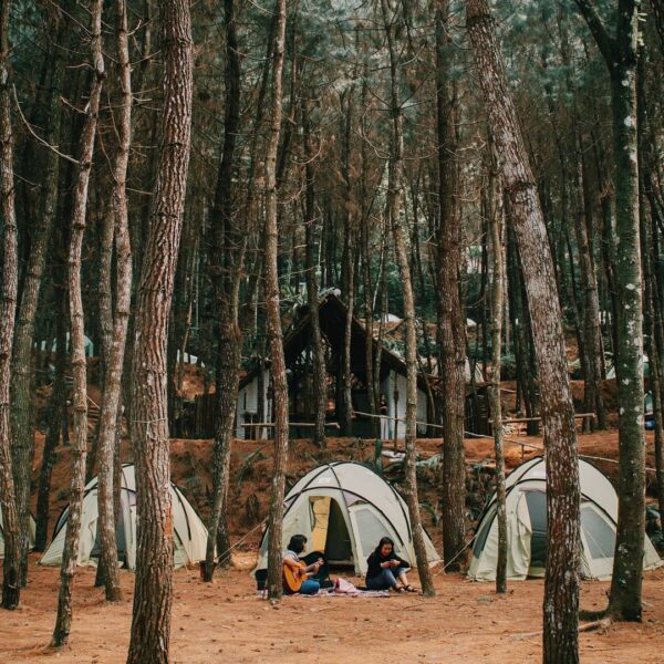 Sing along with a friend, surrounded by nature. These free spirits, I bet, are h...