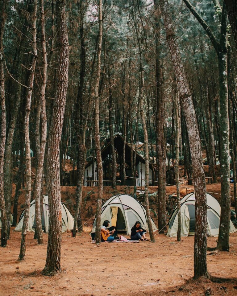 Sing along with a friend, surrounded by nature. These free spirits, I bet, are h...