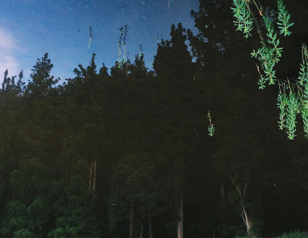 Situgunung camp vibes that leave us speechless nicely captured by  Any words, an...