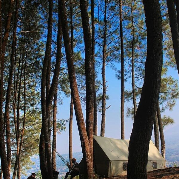 The sound, air, and ambience of nature always make you want to enjoy and chill o...
