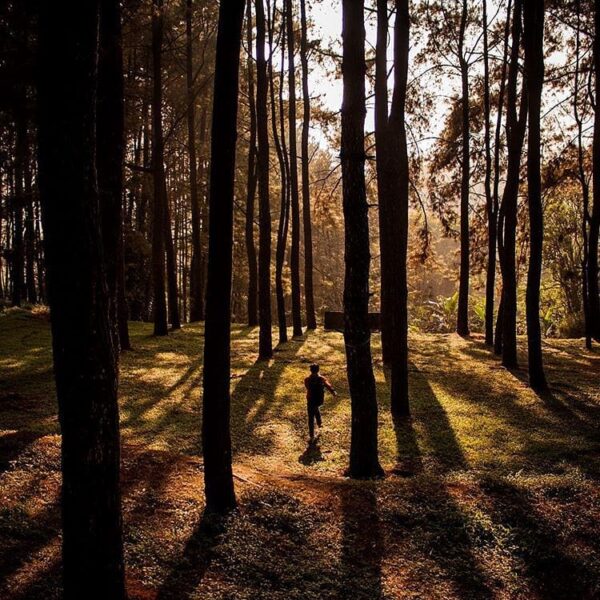The valuable journey begins with one step. Adventurous photo by  taken at Bukit ...