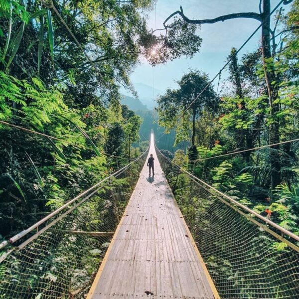 This photo of Situgunung Suspension Bridge by  leaves us speechless. Any words f...