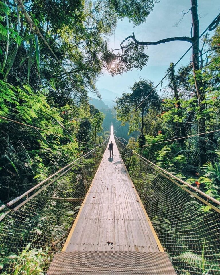 This photo of Situgunung Suspension Bridge by  leaves us speechless. Any words f...