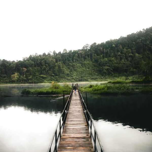 This picture by  reminds us how great it is to be outside, contemplating about l...