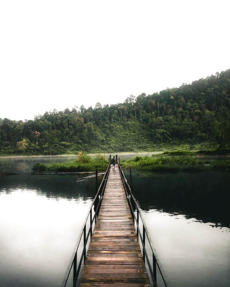 This picture by  reminds us how great it is to be outside, contemplating about l...