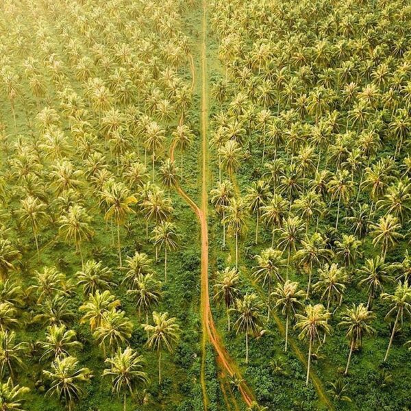 We bet you don't know this place is exist. Describe this aerial photo with one w...